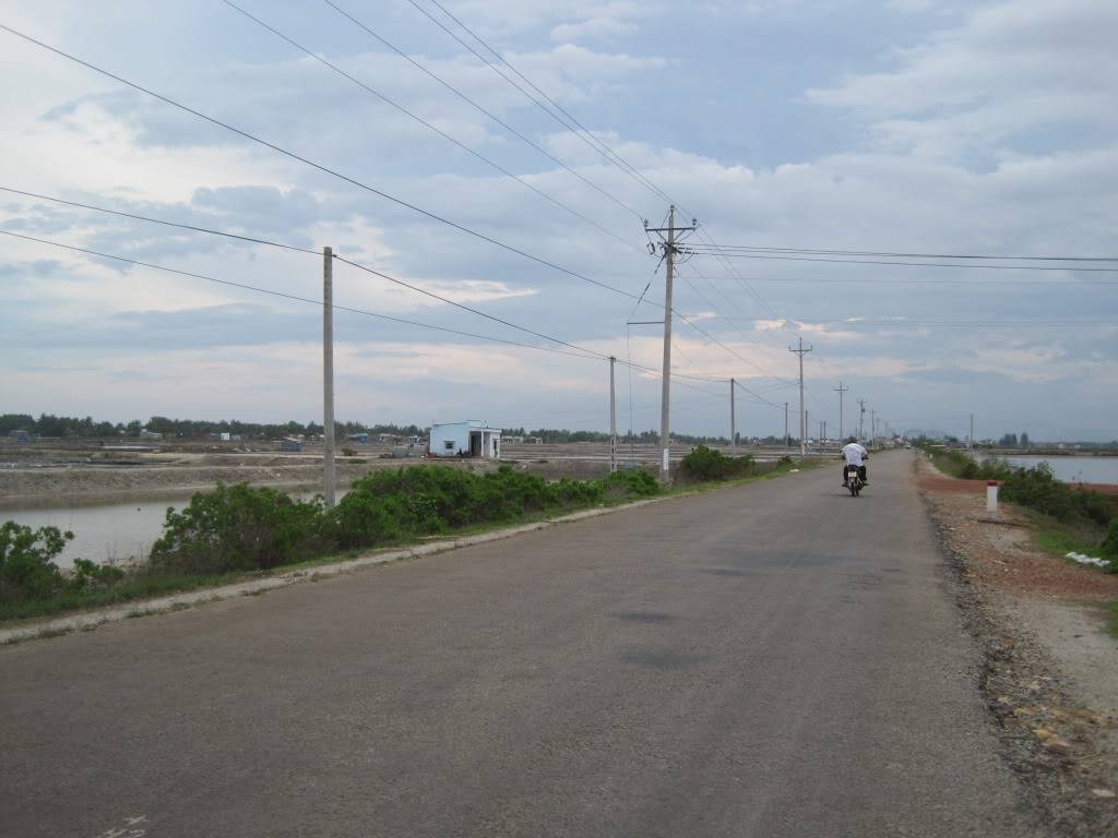 QL55QL28629.jpg