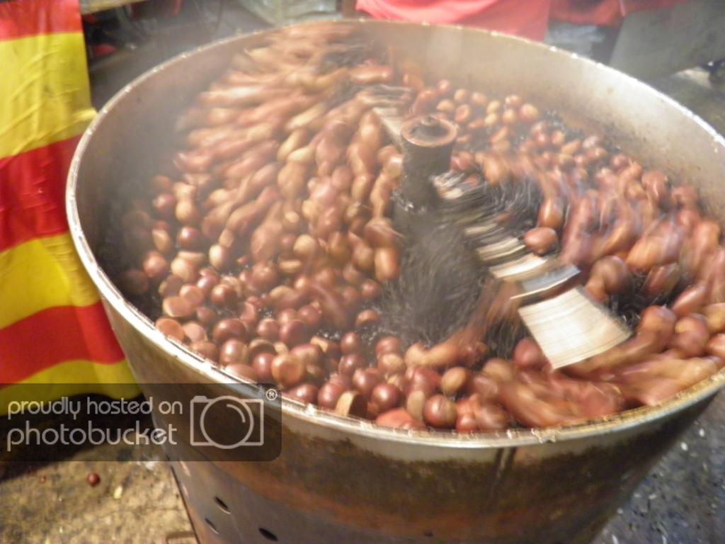 PA130855.jpg