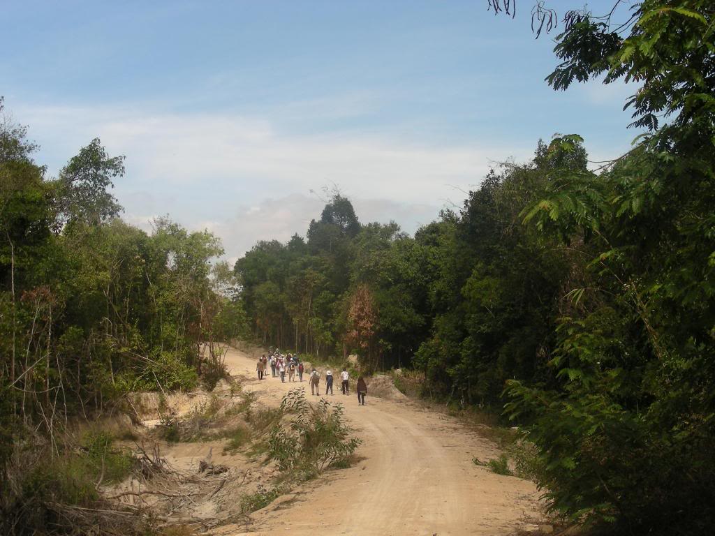 DSC46.jpg