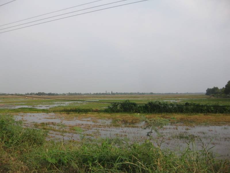 DongThapTET2011486.jpg
