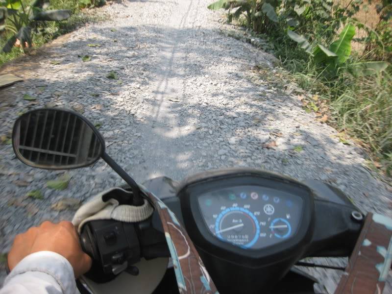 DongThapTET2011385.jpg