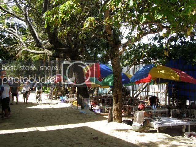 P5310192.jpg