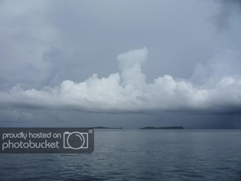 P1010444DesktopResolution800x600.jpg