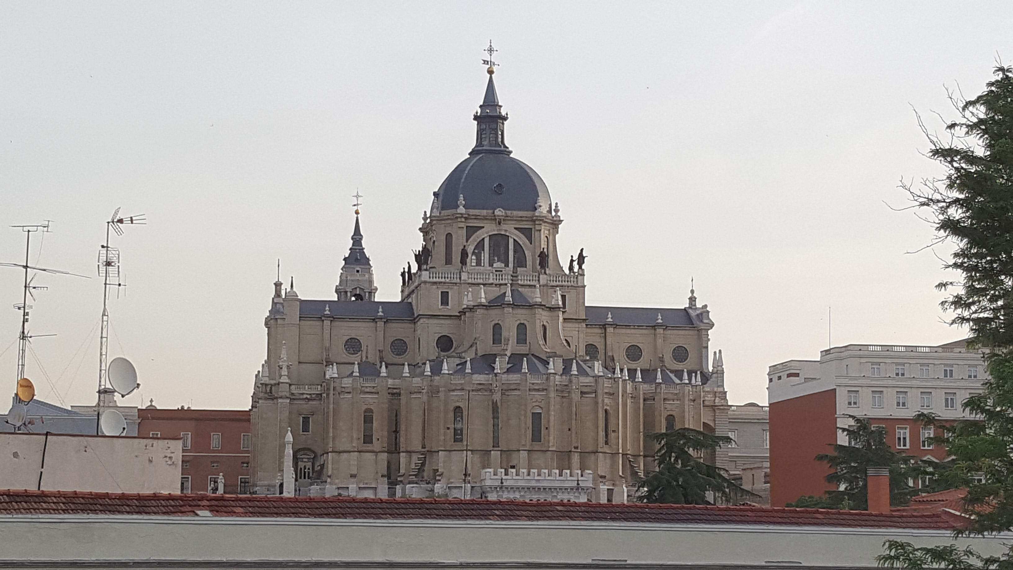 20170609_080803.jpg