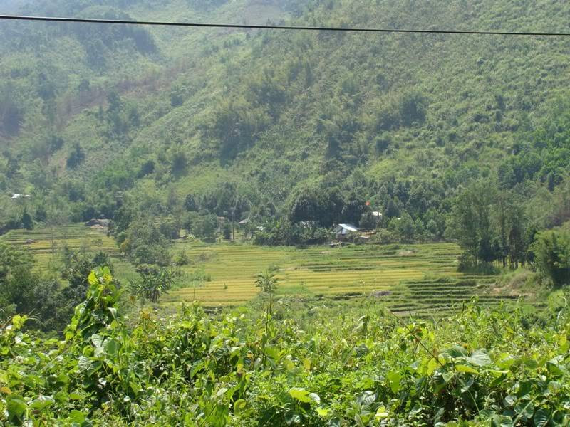 DSC08444.jpg