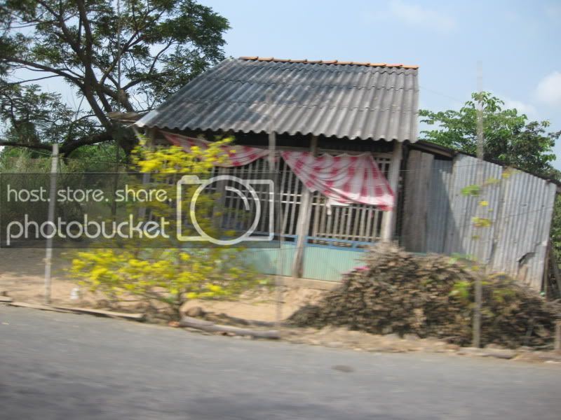 DongThapTET2011089.jpg