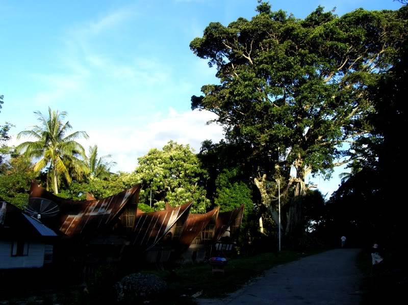 P7220300.jpg
