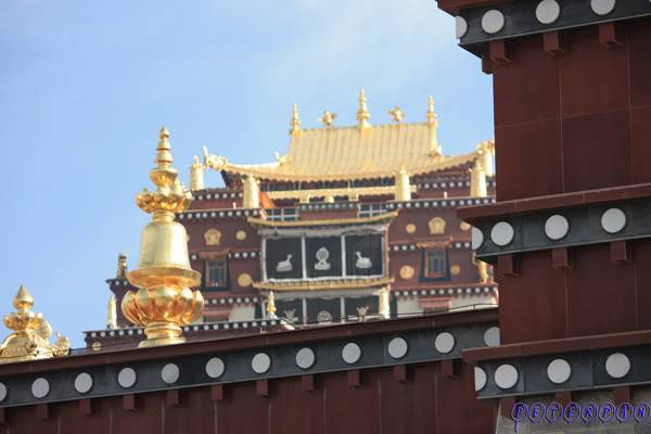 shangri-la38.jpg