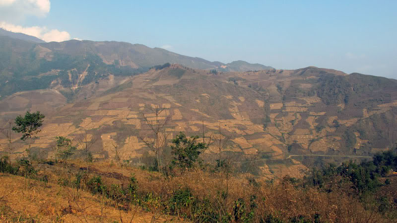 HongNgai2011216.jpg
