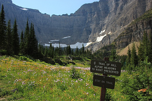 7005466610_e80a0f0ab7.jpg