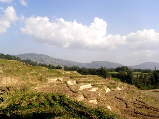 PB030762.jpg