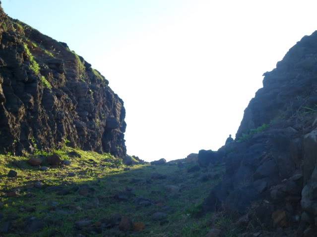 P1040497_resize.jpg