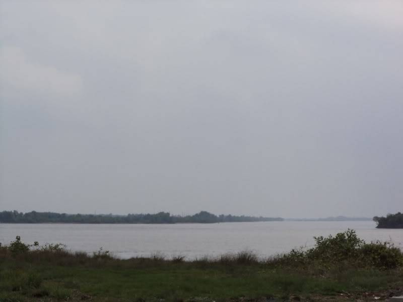 DSC00433.jpg