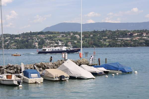 IMG_8120.jpg