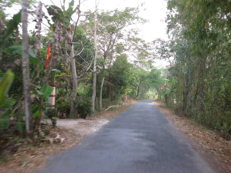 DongThapTET2011247.jpg