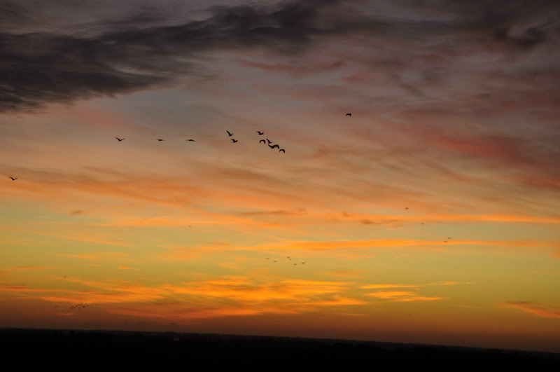 DSC_4034_resize.jpg