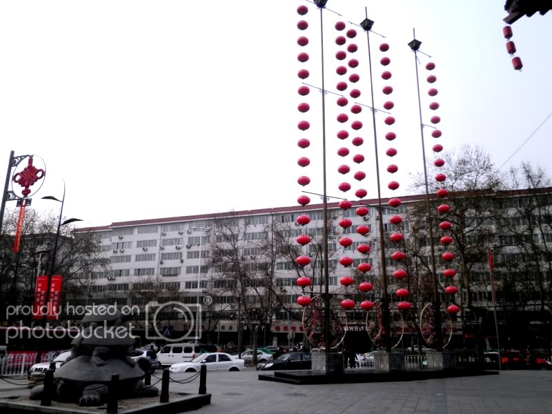 P4020276-1.jpg