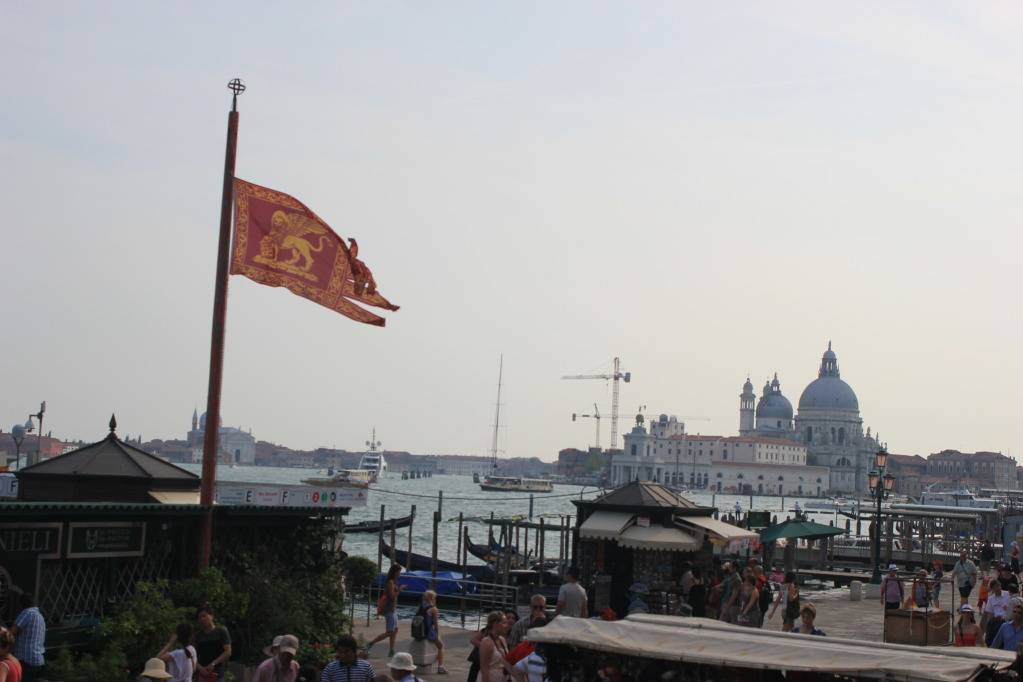 IMG_1306_zpscedf944e.jpg