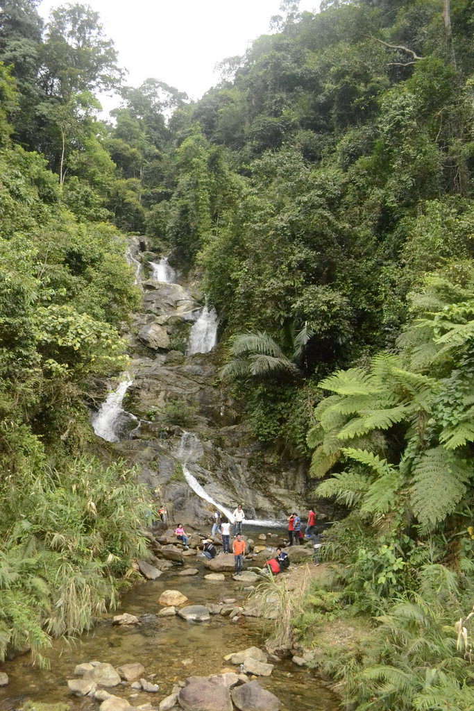 6787899392_448c3e8554_b.jpg