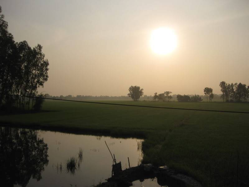 DongThapTET2011251.jpg
