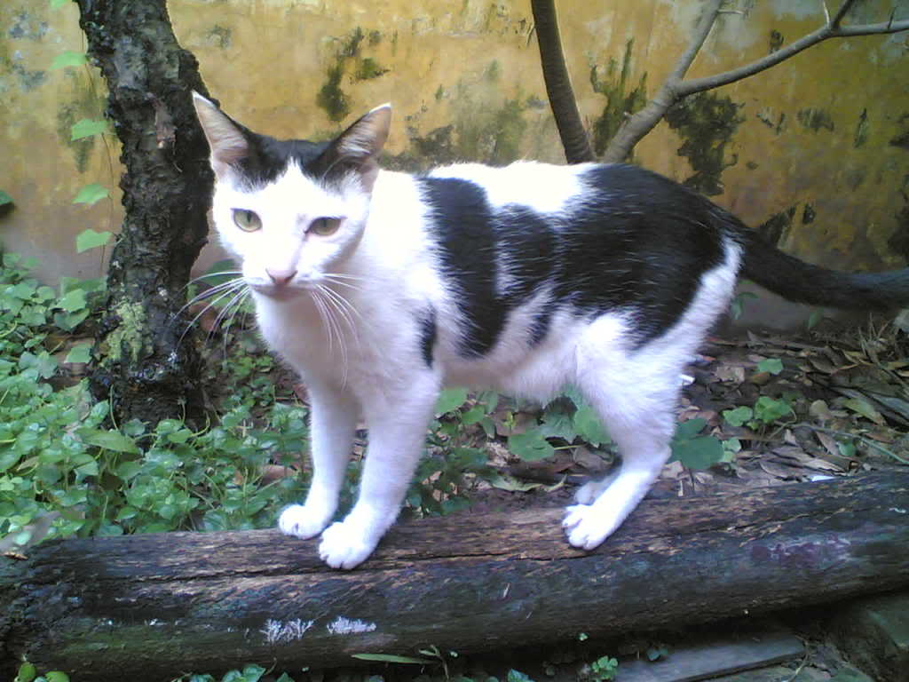 26092007001.jpg