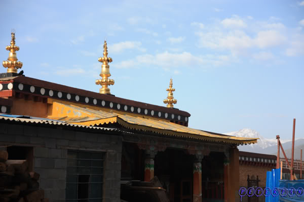 shangri-la33.jpg