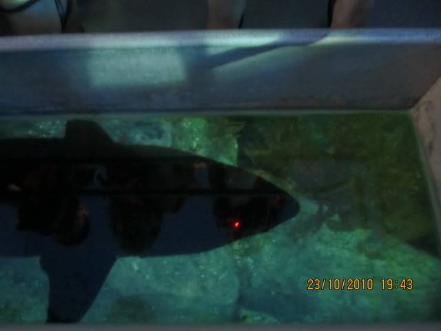 Picture075.jpg