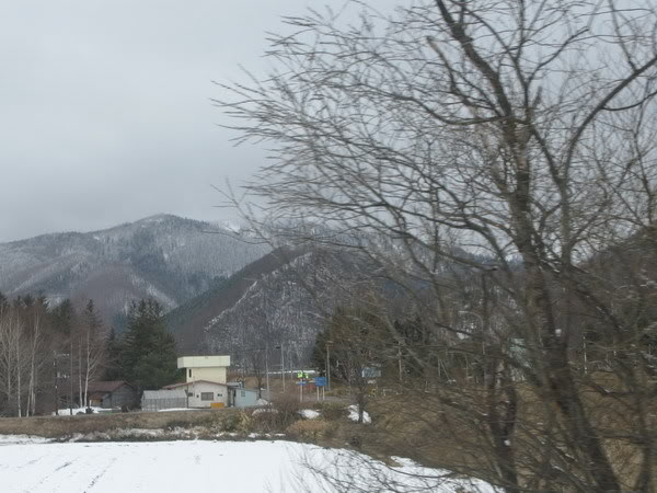 IMG_2984_resize.jpg