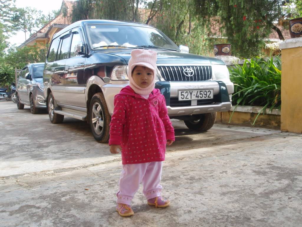 P1014234.jpg
