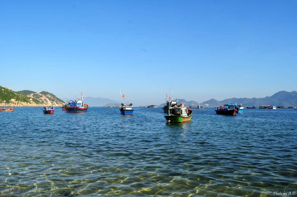 DSC_0778_zps16716e24.jpg