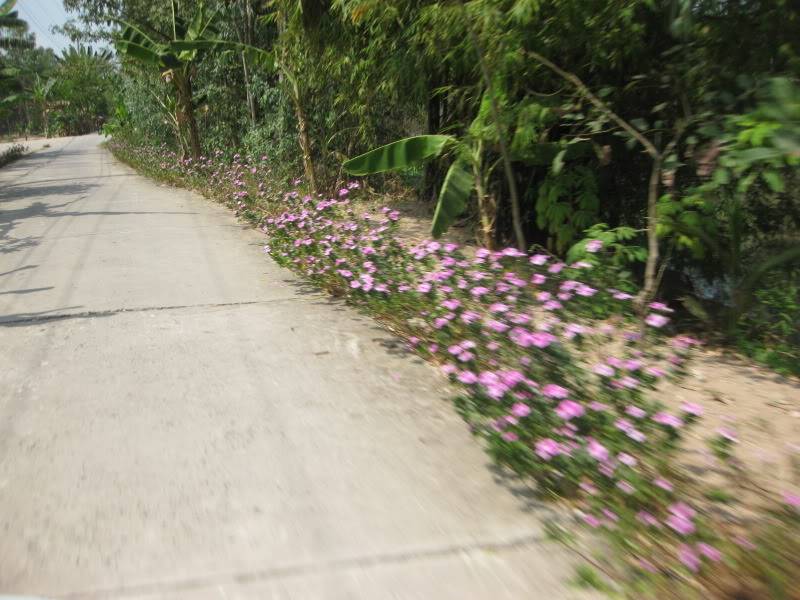 DongThapTET2011392.jpg