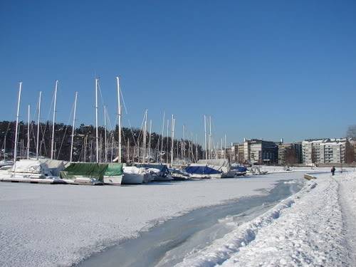 DSC01410.jpg