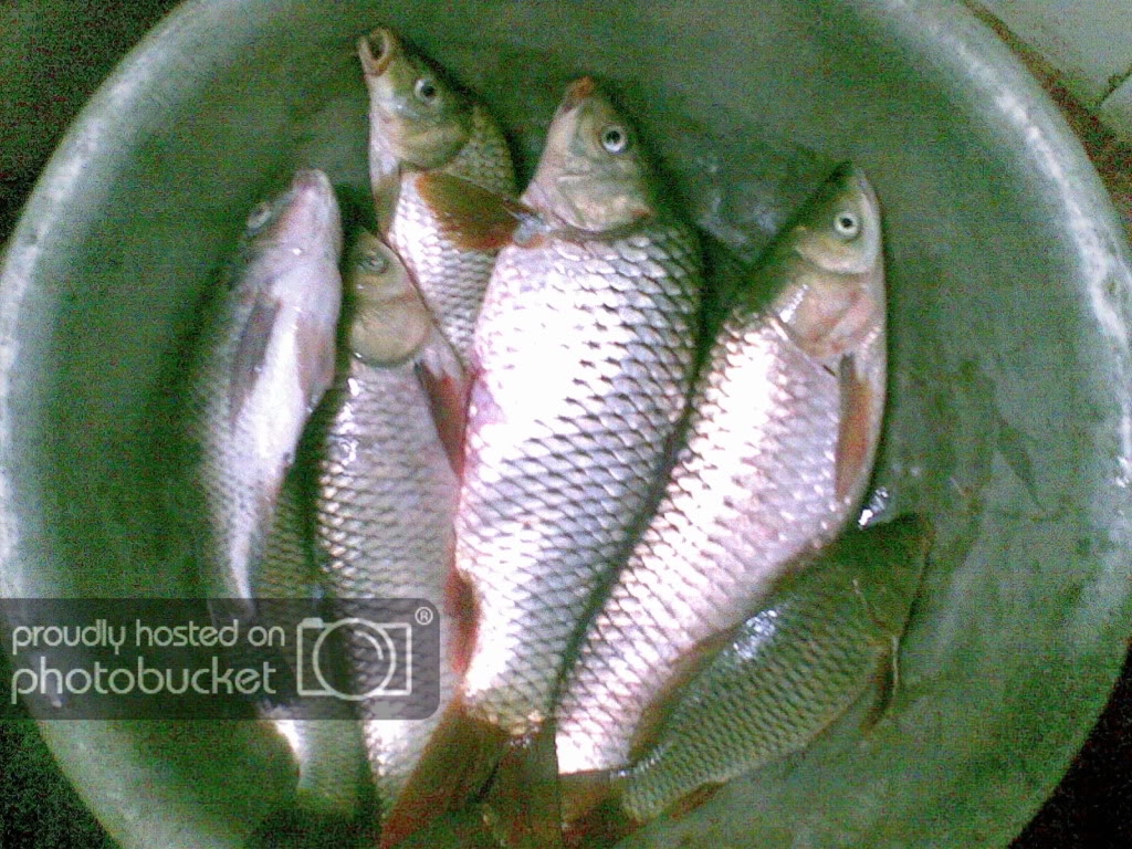 09092009013.jpg