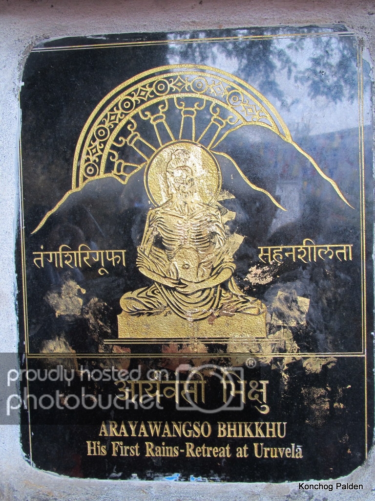 09-IMG_9346.jpg