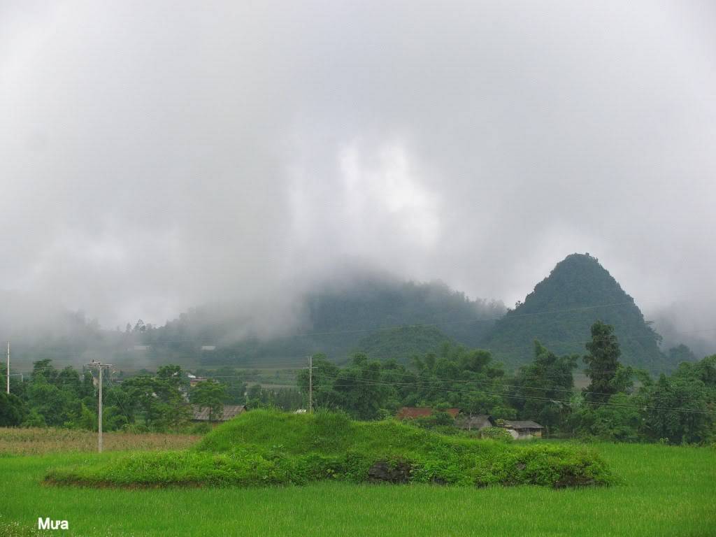 Ma1024x768.jpg