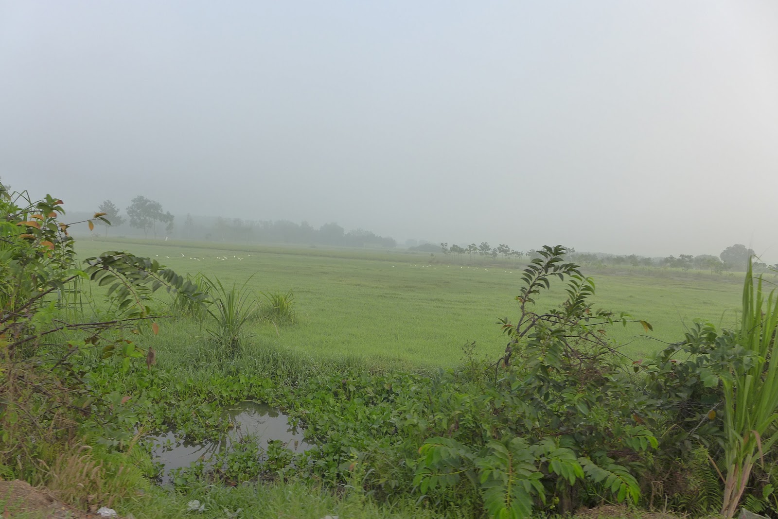 P1000526.JPG