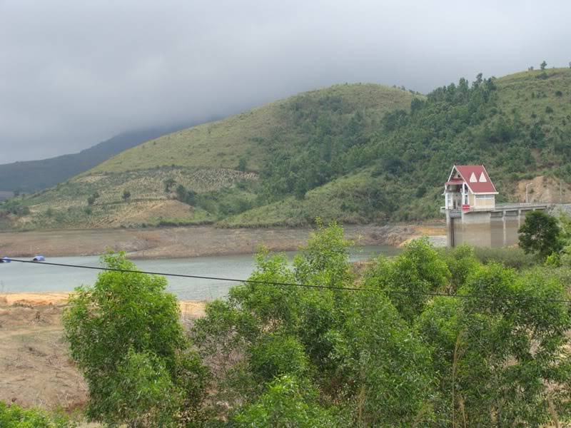 DSC08585.jpg