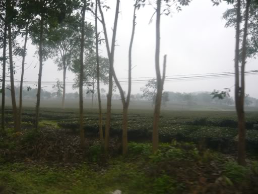P1020422.jpg