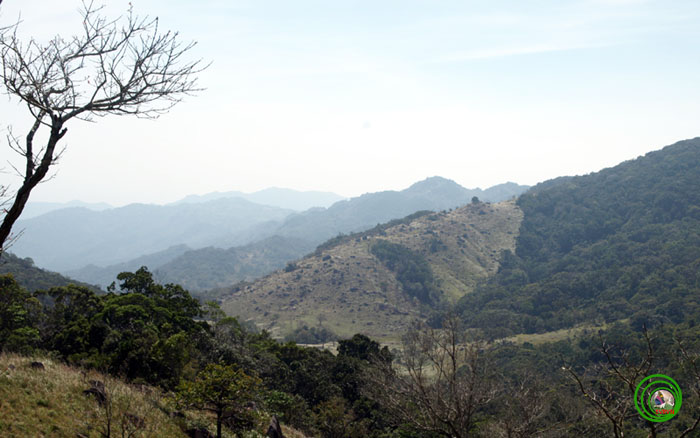nc14_1.jpg