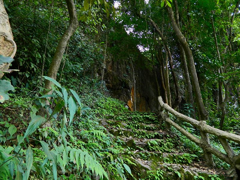DSCN1938.jpg