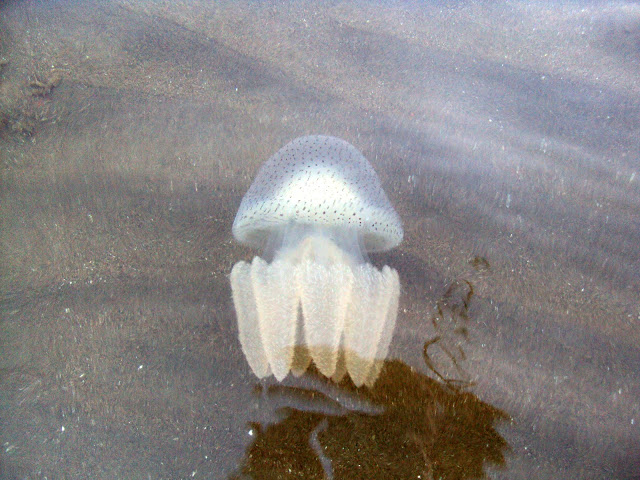 Ngay%202%20%2859%29.JPG