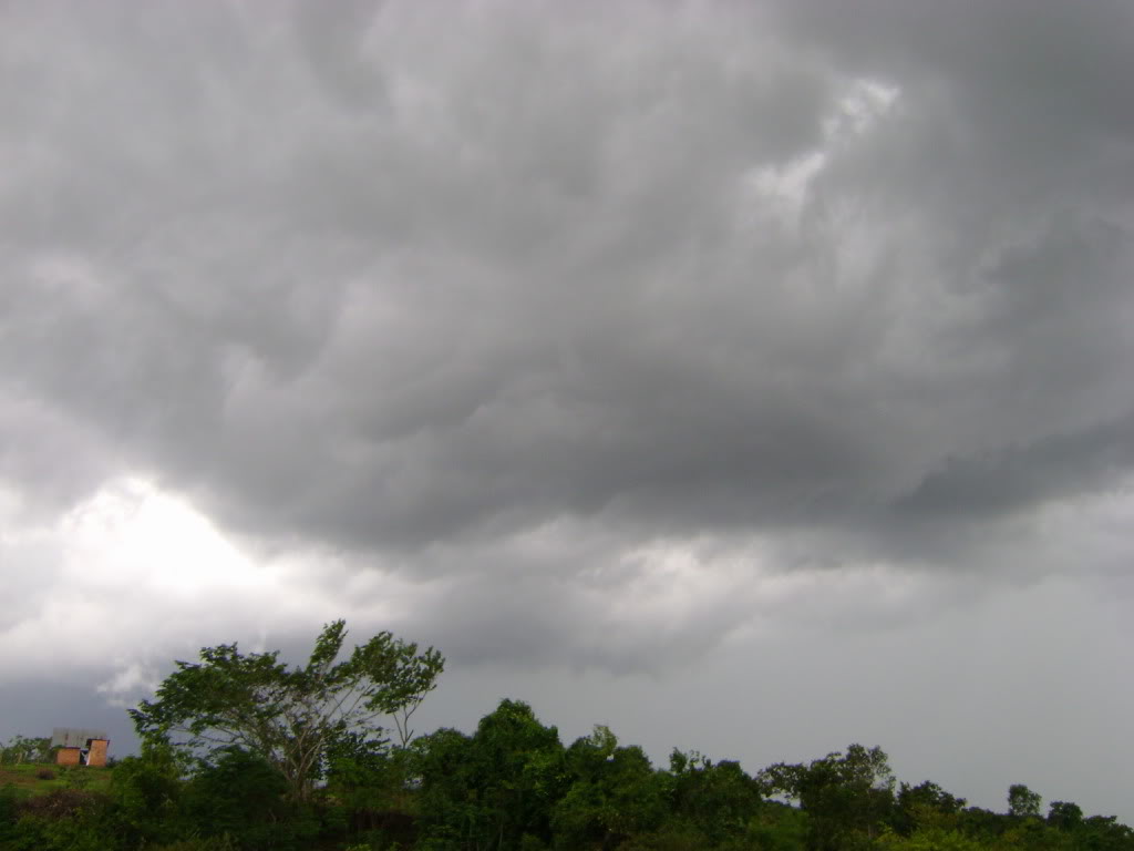 DSC03300.jpg