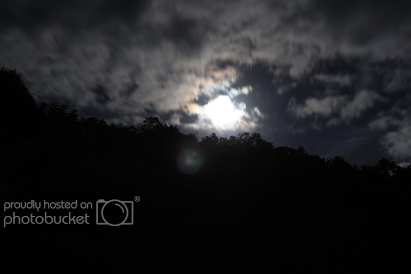 IMG_4078_zps913f77d4.jpg