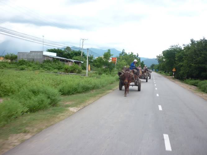 P1370639.jpg