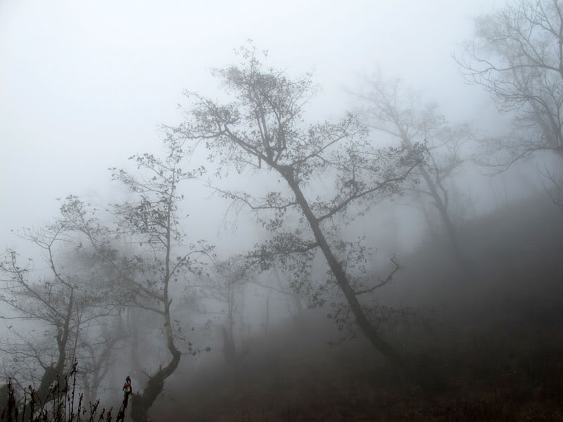 HongNgai2011564.jpg