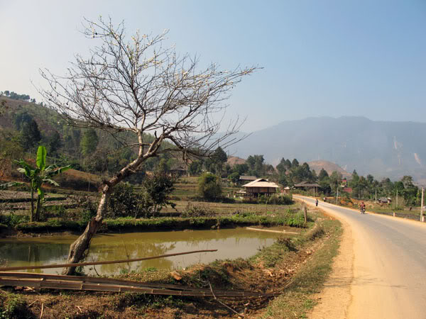 HongNgai2011007.jpg