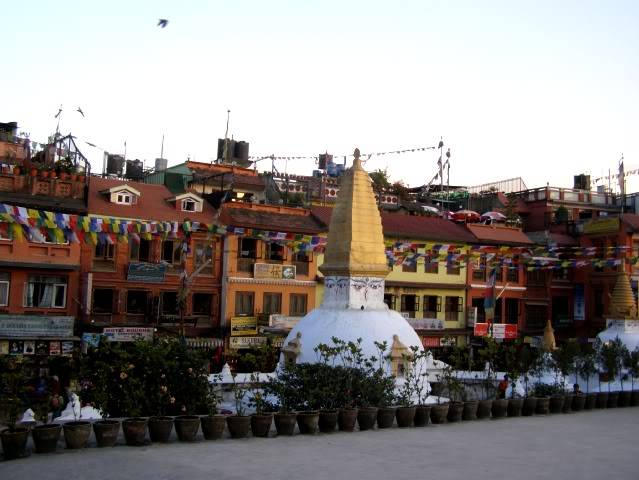 PA260626.jpg