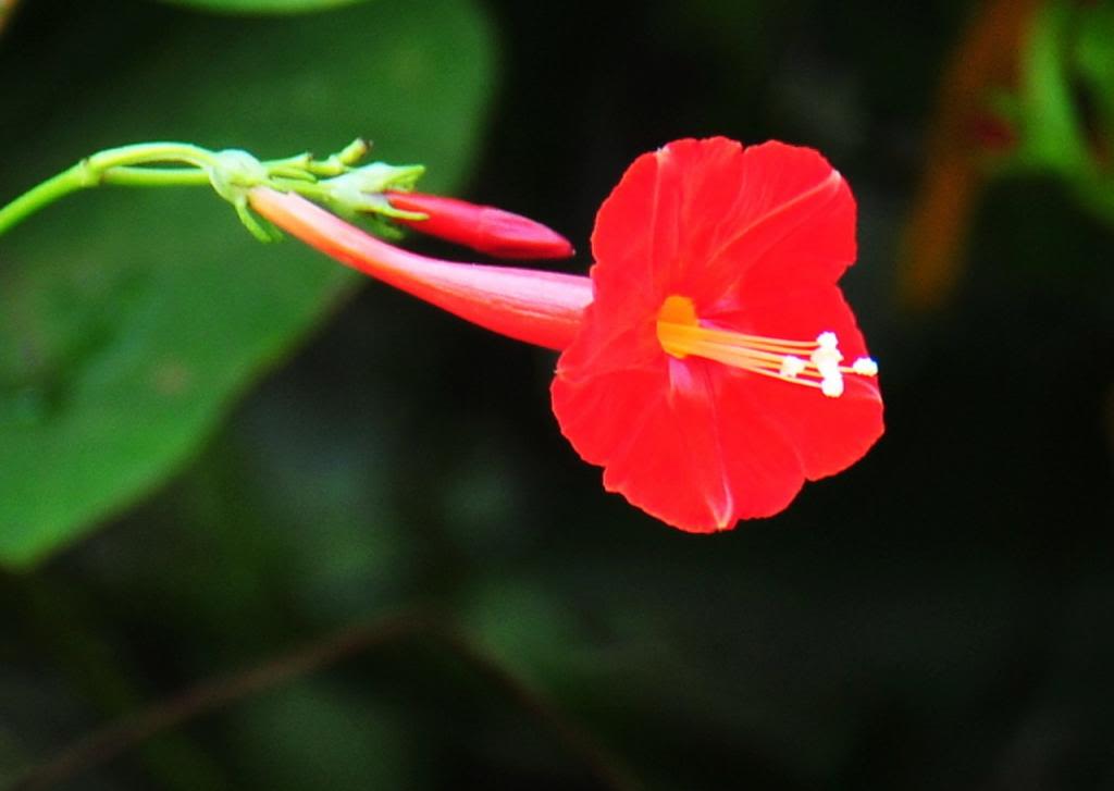 DSC_3228_1280x909.jpg