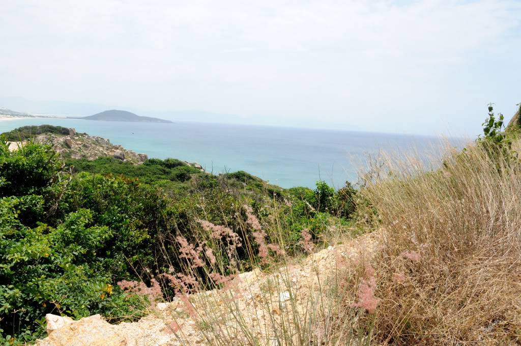 DSC_0178.jpg