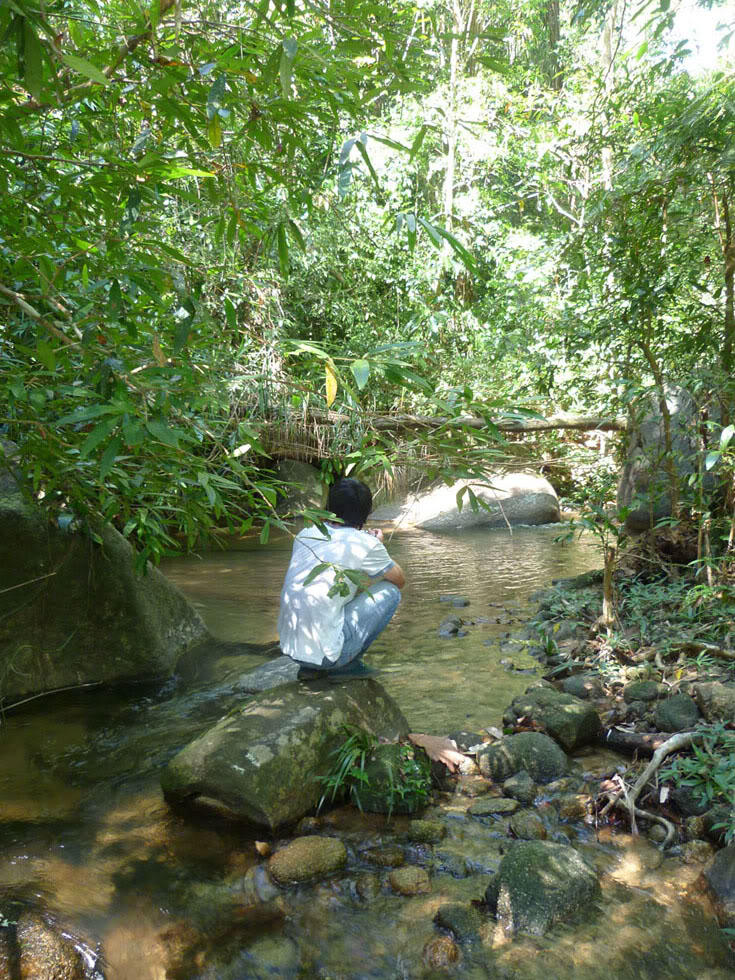 P1050734.jpg
